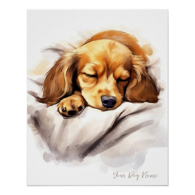 Póster Anjo super giro dormindo cachorrinho Dachshund Dog (Frente)