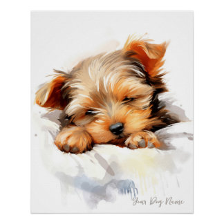 Póster Anjo super giro dormindo cachorrinho Yorkshire Ter