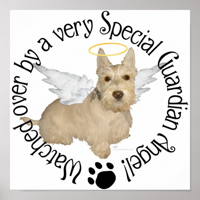 Póster Anjos Wheaten Scottish Terrier (Frente)