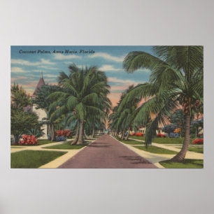 Póster Anna Maria, Florida - vista das palmas ao longo da
