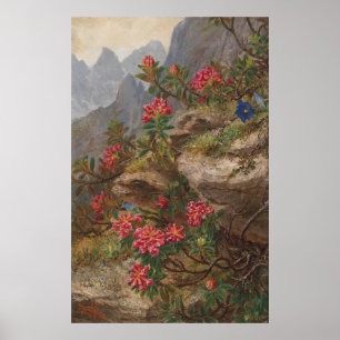 Poster Anna Stainer-Knittel Vintage Flores Alpinas