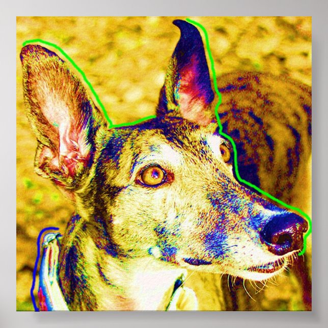 Póster Annie (Frente)