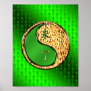 Poster Ano da Cabra de Fogo