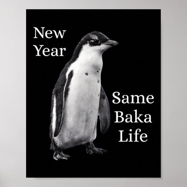 Poster Ano Novo Mesma Vida de Baka Pinguim Piada  (Frente)
