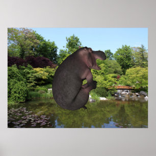 Póster Anônbola de Hippo