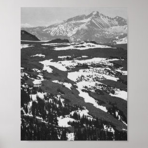 Poster Ansel Adams - Montanha Rocky de Pico Longo