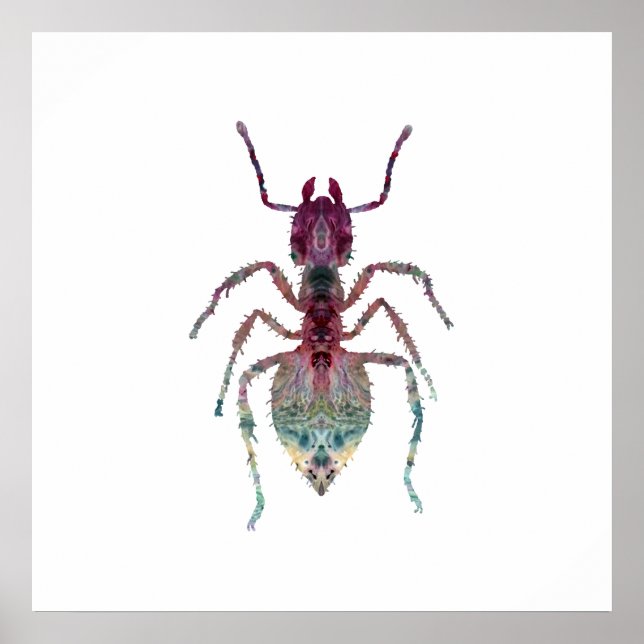 Poster Ant Art (Frente)