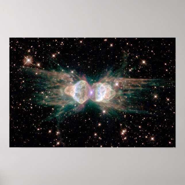 Póster Ant Nebula (Frente)