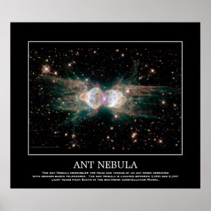 Póster Ant Nebula - Em Constelação Norma