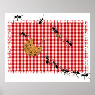 Póster Ant Picnic