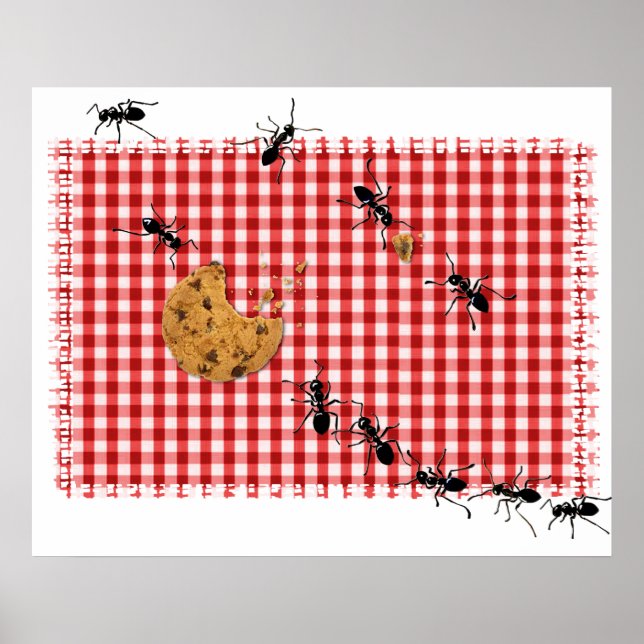 Póster Ant Picnic (Frente)
