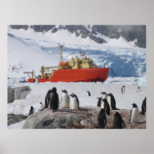 Poster Antártica