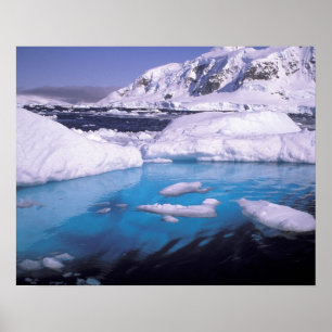 Poster Antártida. Expedição através de paisagens de gelo