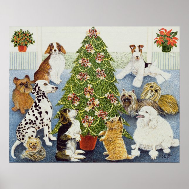 Poster Antecipação (Frente)