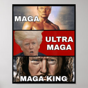 Poster Anti Joe Biden Ultra Maga O Retorno Do Excelente