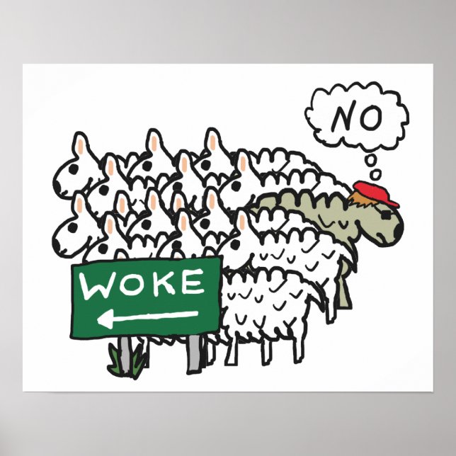 Poster Anti-Woke (Frente)