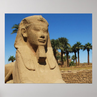 Póster Antiga estátua esfinge egípcia luxor Egito
