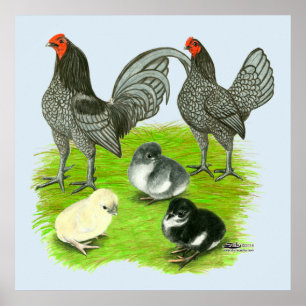 Póster Antiga família de jogos azuis em inglês