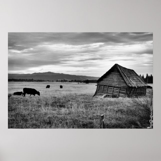 Póster Antiga Fazenda (Frente)