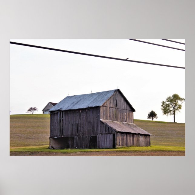 Poster Antiga Fazenda (Frente)