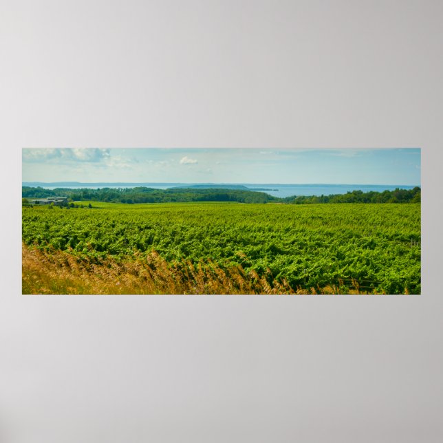 Poster Antiga Península de Missão, Michigan (Frente)