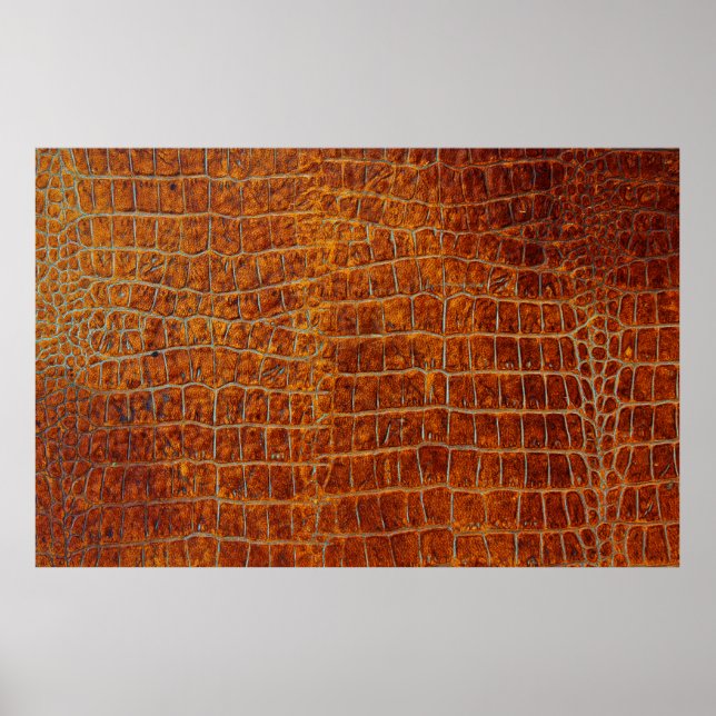 Poster Antiga textura de couro de animais castanhos (Frente)