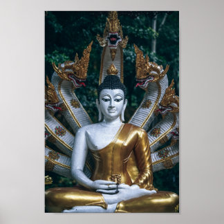 poster antigo buddha