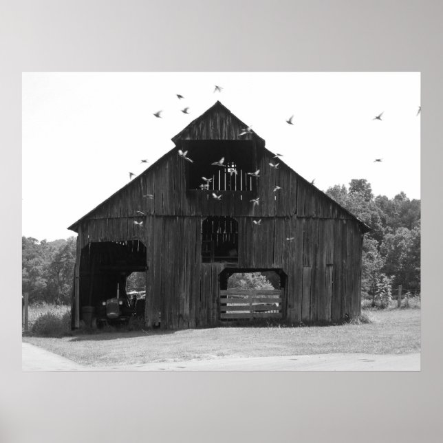 Póster Antigo celeiro (Frente)