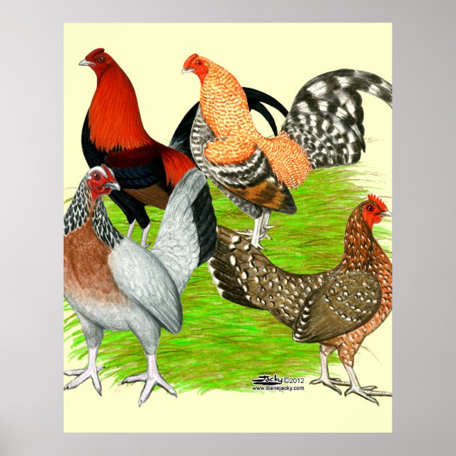 Póster Antigo Quarteto de Jogo Inglês (Frente)