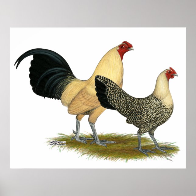 Póster Antigos Copos de Creme Inglês (Frente)