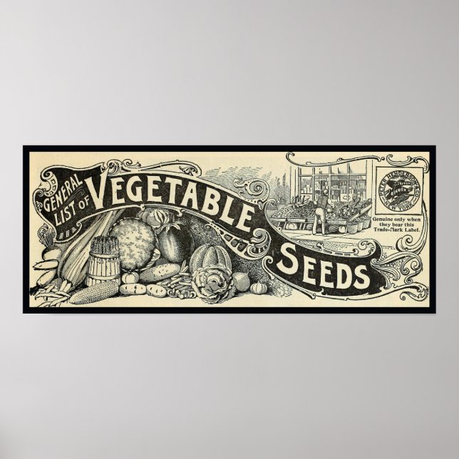Poster Antiguidade 1894 Sinal de Sementes Vegetais (Frente)