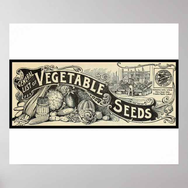 Poster Antiguidade 1894 Sinal de Sementes Vegetais (Frente)