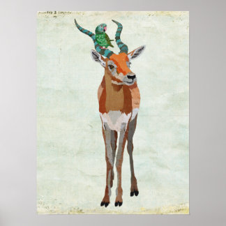 Póster Antílope e Arte do Papagaio