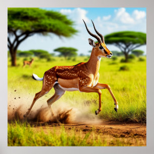 Poster Antílope gracioso saltando numa savana africana