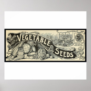 Poster Antique 1894 Vegetable Seeds Sign