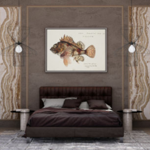 Poster Antique Red Scorpion por F. E. Clarke 1874