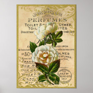 Poster Antique Roses Perfume