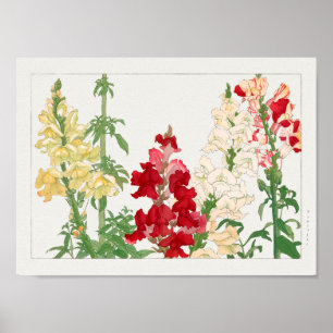 Poster Antirrhinum majus por Tanigami Konan