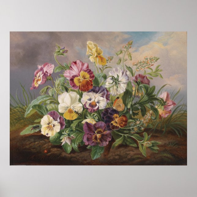 Poster Anton Mollis Vintage Pansy (Frente)