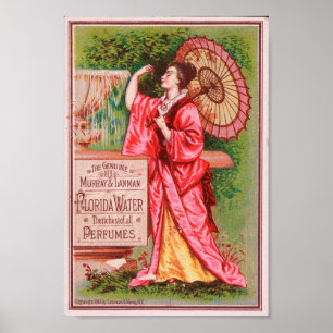 Póster Anúncio bonito para a Flórida Water