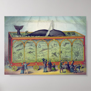 Poster Anúncio De Aquário Vintage