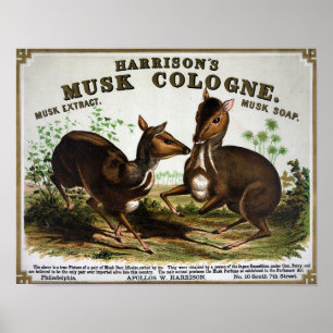 Poster Anúncio de Colônia Vintage