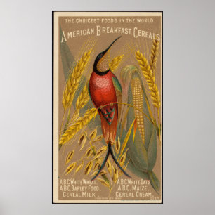 Poster Anúncio de Comida do Café da Manhã Americano