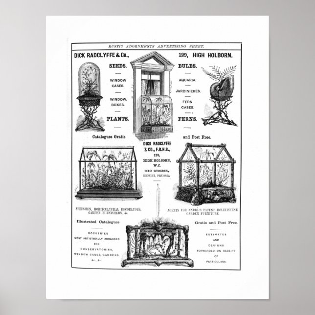 Póster Anúncio para 'Dick Radclyffe & Co.' Anúncio Russo (Frente)