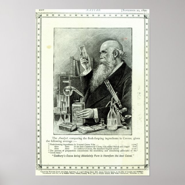 Poster Anúncio para o "Cacau de Cadbury" (Frente)