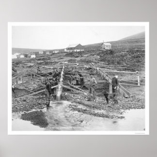 Póster Anvil Creek Dourado Mine Alaska 1916