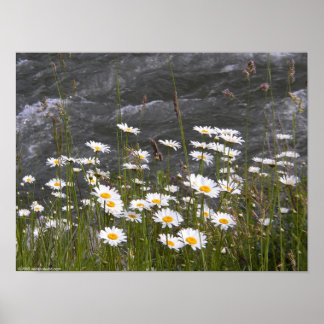 Póster Ao longo da corrente