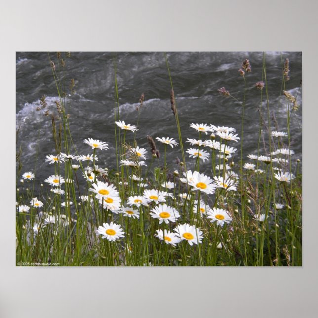 Póster Ao longo da corrente (Frente)