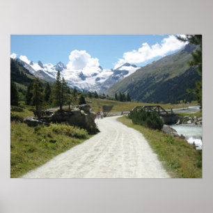 Póster ao roseg para terminar 038