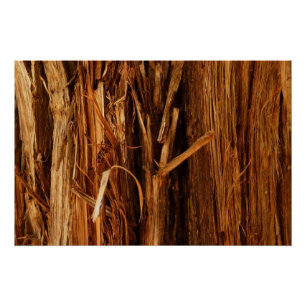Póster Aparência de Casca de Madeira Texturizada de Cedro